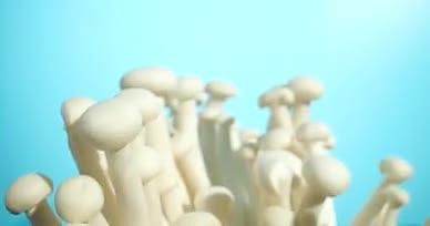4K菌菇海鲜菇蘑菇新鲜蔬菜视频的预览图